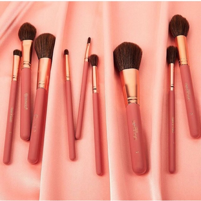 Bộ Cọ Trang Điểm 9 Cây BH Cosmetics Its My Rayeraye BHBO37